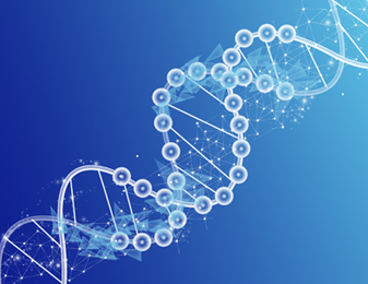 ABPay钱包官方网站 - 安全便捷的数字钱币钱包